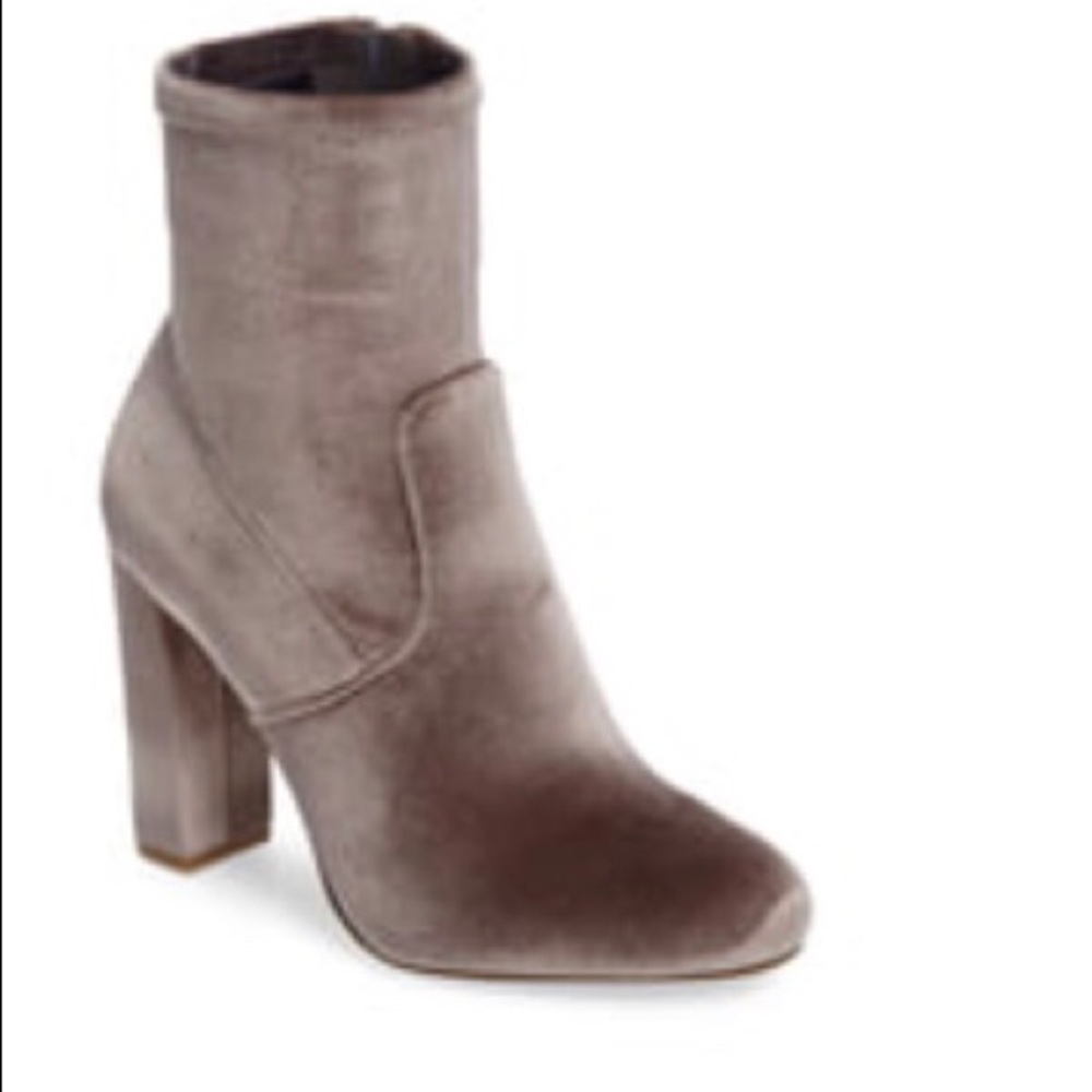 Steve Madden Edit Booties